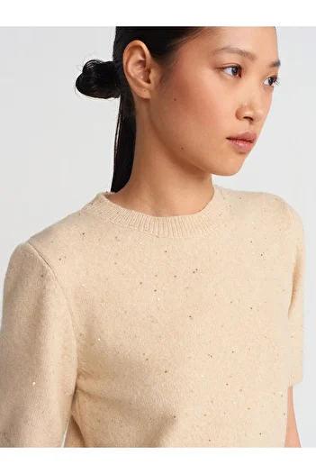 Dilvin 10703 Beige Crew Neck Sequin Glitter Knitwear Sweater
