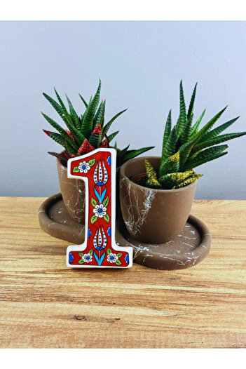DeepCraft Best Quality Deepcraft Ceramic - Tulip Pattern Door Handmade with Color Options 01