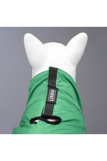 Lindodogs Lindo dogs quattro nebula dog raincoat green size 2