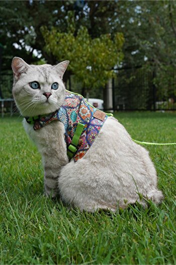 Patipatron Anti-Escape Cat Walking Leash and Small Breed Dog Walking Leash