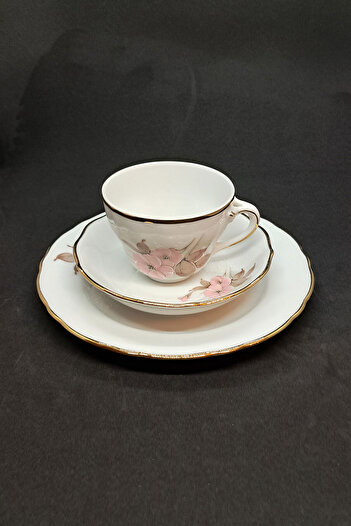 Bavaria German Hand Painting Antique Porcelain Tea Cup 3 Pieces 170 ml