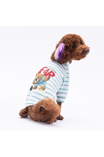 Pettrend Green Bear with Me Printed Knitwear Sweat Cat Dog Sweat Cat Dog Outfit