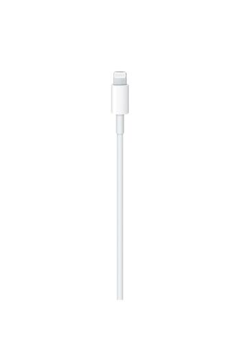 Apple USB-C To Lightning Cable (2 M)