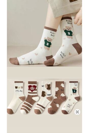 BGK 5 Pairs College Unisex Socks Set - with Teddy Bear