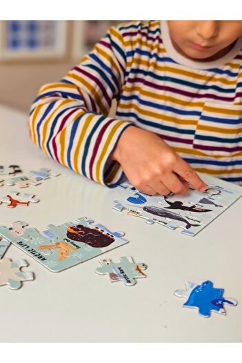 DoerKids Kuzey Kutbu Hayvanları Mini Puzzle | 40 Parça 3-7 Yaş