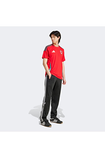 adidas Galler Milli Takım Erkek Kırmızı Futbol Forması