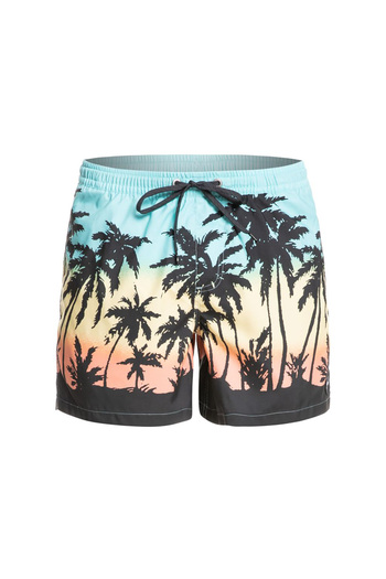 Quiksilver Ανδρικό Volley Short Everyday Paradise Volley 15 Τυρκουάζ