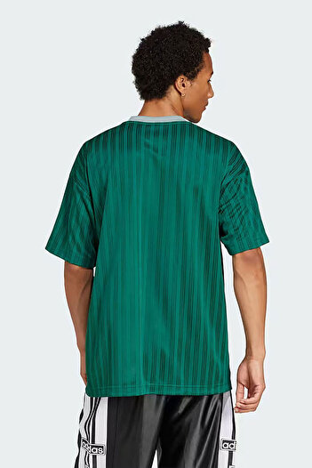 adidas Men's Casual T-Shirt - Adicolor Poly, Jp1028