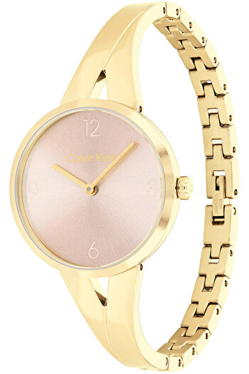 Calvin Klein Ck25100027 Women Wrist Watch