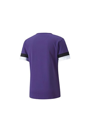 Puma 704932 Teamrise Jersey T-Shirt Dry-Cell Men's T-Shirt Purple