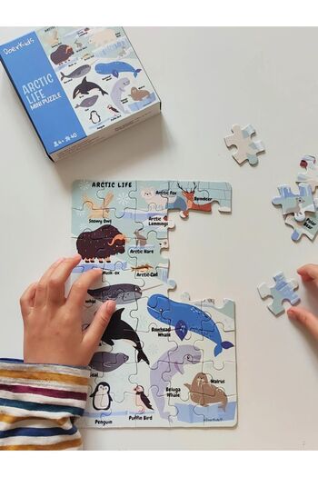 DoerKids Kuzey Kutbu Hayvanları Mini Puzzle | 40 Parça 3-7 Yaş