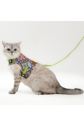 Patipatron Anti-Escape Cat Walking Leash and Small Breed Dog Walking Leash