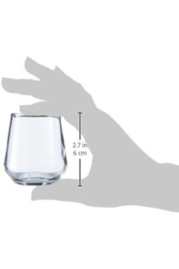 STOREMAX Sellbuyst 6-Piece Allegra Coffee so It's a Water Glass Trendy 266450