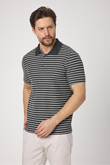Frappoli Violes Чоловічий смугастий Slim Fit 100% бавовна антрацитовий поло з коміром