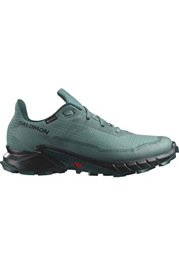 Salomon Чоловіче взуття для активного відпочинку Alphacross 5 Gtx - L47595000 Зелений