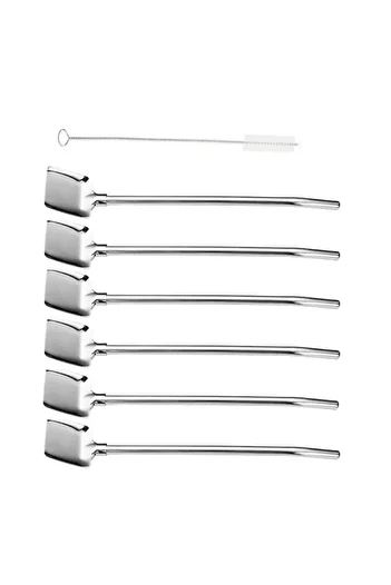 Elista Paddle Model 6-Piece Stainless Chrome Straw Latte Spoon Cocktail Spoon and Cleaning Brush, 22 cm