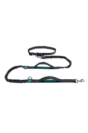 Choice Aqua Green Retractable Hands Free Dog Leash for Running Judge Leash Large Dog Pet Supplies