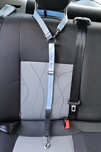 CARAMELOS Pet Vehicle Seat Belt Cat Dog Car Auto Collar Auto Accessory Cat Dog Safety Belt