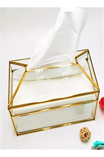 Primo Plus Creative design transparent/gold tissue paper holder box