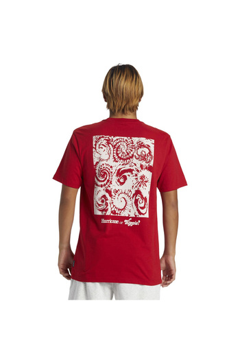 Quiksilver Hurricane Or Hippie Moe Erkek Kırmızı Günlük Stil T-shirt Aqyzt09540-30051