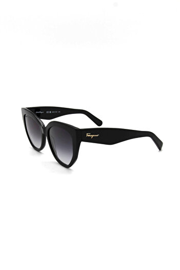 Salvatore Ferragamo Sf 1061S 001 Women's Sunglasses