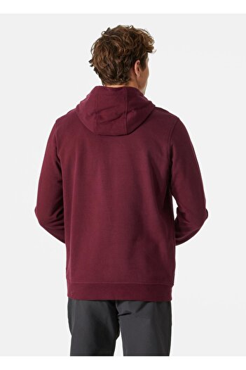 Helly Hansen LOGO HOODIE HOODED
