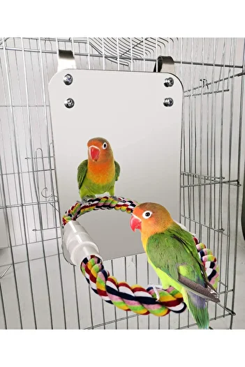 Choice Bird Mirror With Perch Cage Swing Toy Macaws Finches Small Parakeet Rope Stand for Parrot Pet Sup...
