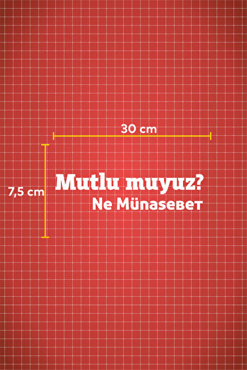 Quart Aksesuar 30 X 7,5 Cm Suntem fericiti? Ne Münasebet Auto, Motor, Autocolant pentru mașină