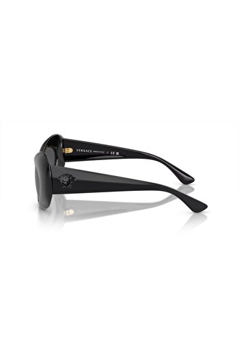 Versace And 4456U 52 Gb1/87 Women's Sunglasses