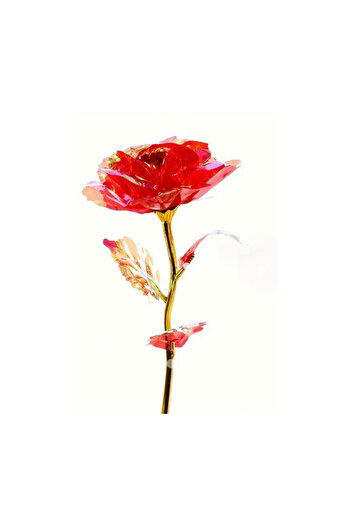 hediye Infinity Rose Valentine's Day Special Infinity Rose Gift Red Rose