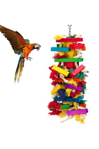 Choice B Parrot Toys, Stands, Poles, Bird Cages, Parrots, Swings, Tiger Skins, Cockatiels, Decompression T.