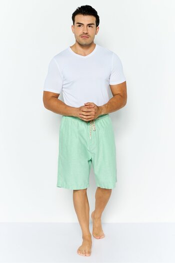Scotch & Soda Men Textured Beachwear Shorts, Light Green