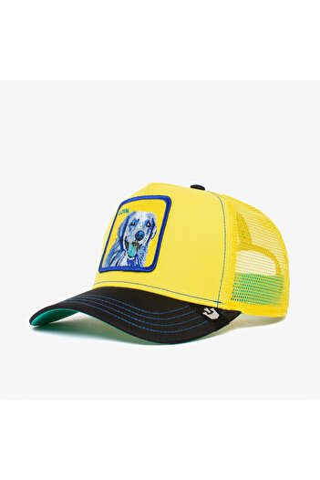 Goorin Bros . Doggy Trip (Golden Figured) Hat 101-1037