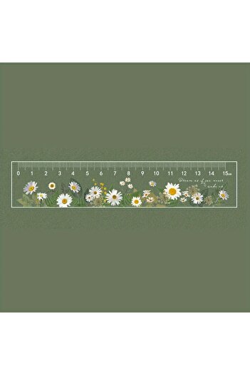 Choice 01 Clear Acrylic 15cm School Ruler with Centimeters - Durable and Easy-to-Read