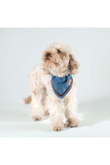 Patipatron Adjustable Design - Medium and Small Breed Dog, Denim Scarf