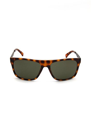 Calvin Klein Ckj 424S 202 Mens Sunglasses