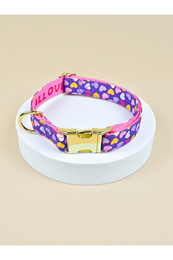 Choice S FH-ZSAX Valentine's Day and New Year Gifts For Medium Dog And Small Dog Cute Pet Collar Double Si