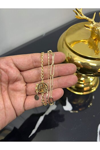Store 3 Chain Design Leopard Stone Bracelet