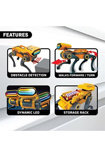 Silverlit Robo Express Uzaktan Kumandalı Robot