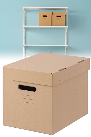 Binbirreyon Organize Storage Archive Box 1 Piece 25X34X26Cm Dd048