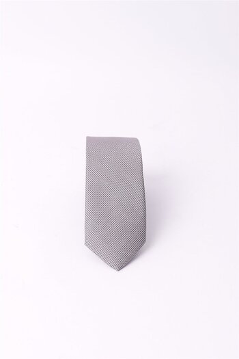 Tudors Self-Patterned Plain Men's Gray Tie