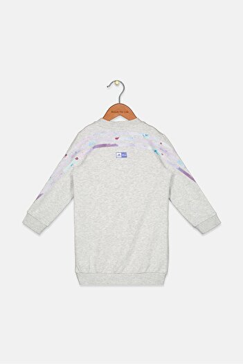 adidas x Disney Toddlers Girl Graphic Long Sleeve Sweater Dress, Grey