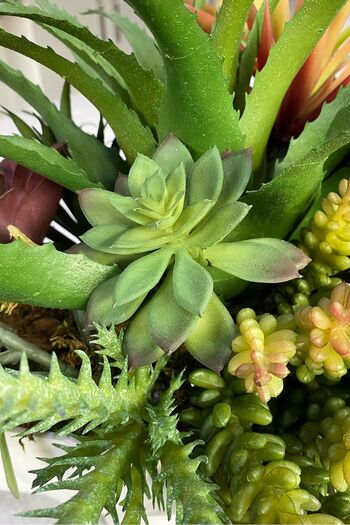 Dekorsende Mini suculent artificial Echeveria verde 12 cm