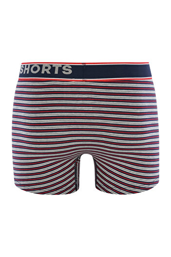 Phil & Co. Berlin Retro Pants All Styles Retro-boxer Retro-shorts Unterhose