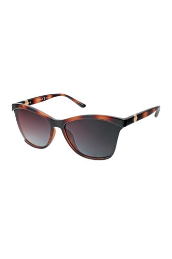 Despada 1835 C:4 Demi Brown Color Sunglasses For Women