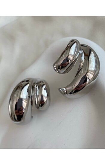 gaila design Steel Two Ring United Silver Color Earrings
