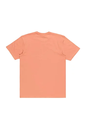 Quiksilver Ανδρικό κόκκινο μπλουζάκι Tropical Rainbow ΑΝΔΡΙΚΟ T-SHIRT EQYZT07679