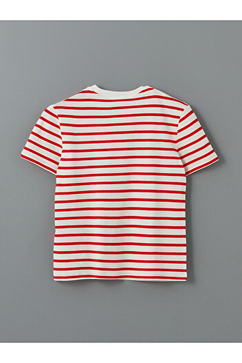 LC Waikiki Lcw Vision Crew Neck Striped Women's T-Shirt