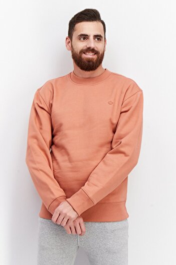 adidas Men Sportswear Fit Brand Logo Long Sleeve Sweatshirt, Brown