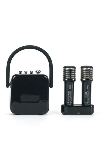 DIVOOM SongBird SE - Portable Dual Microphone Speaker - BLACK